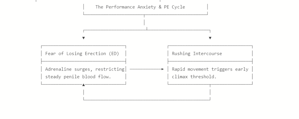 How Do Premature Ejaculation Pills Work? Timing, Dosage, And Results 6 The Performance Anxiety PE Cycle